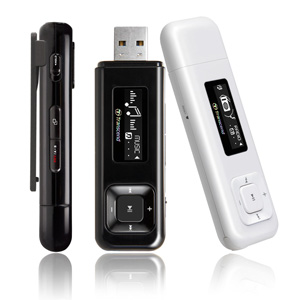 TRANSCEND MP330